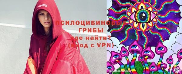 гидра Мегион