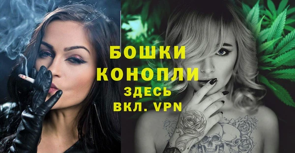 гидра Мегион
