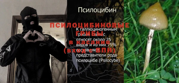МДМА Медвежьегорск