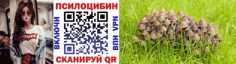 что такое наркотик  Сасово  Галлюциногенные грибы GOLDEN TEACHER 